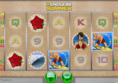 Endless Summer online